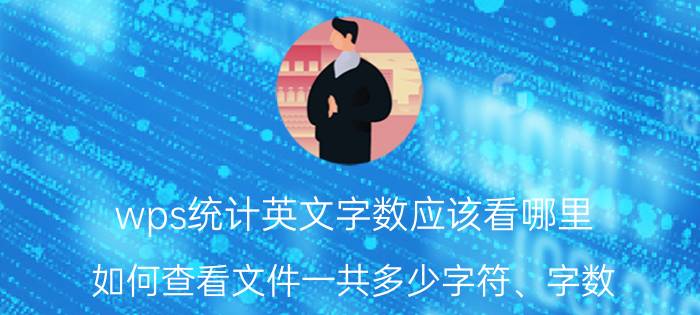 wps统计英文字数应该看哪里 如何查看文件一共多少字符、字数？